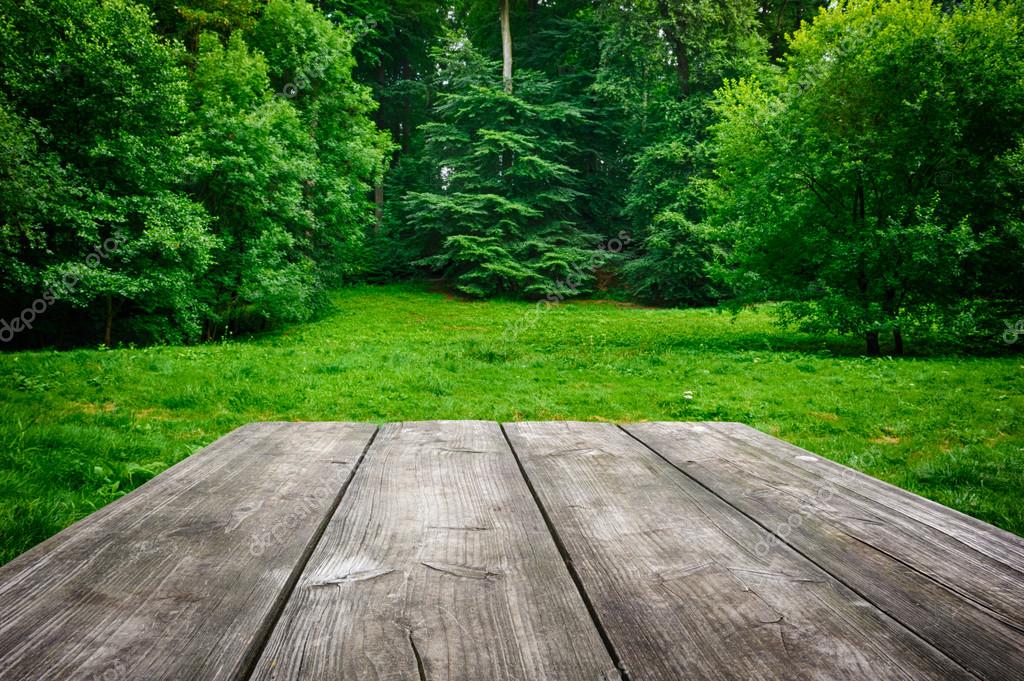 Background Picnic Table Images