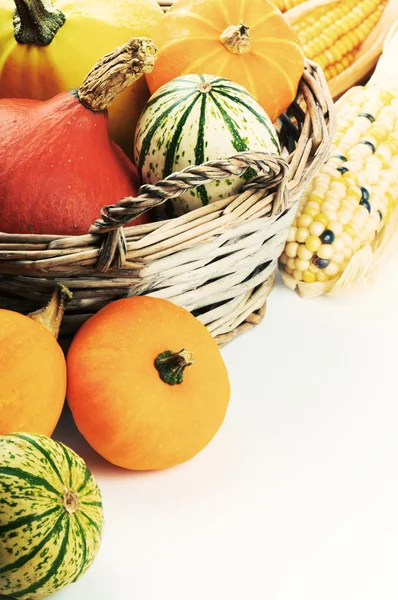 Herfst instelling met verschillende pompoenen en maïs — Stockfoto