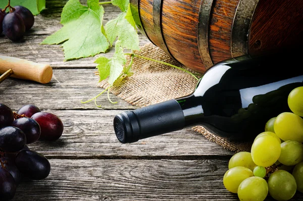 Flasche Rotwein und frische Trauben — Stockfoto