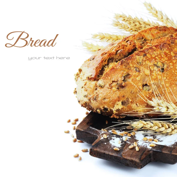 Nybakat traditionellt bröd — Stockfoto