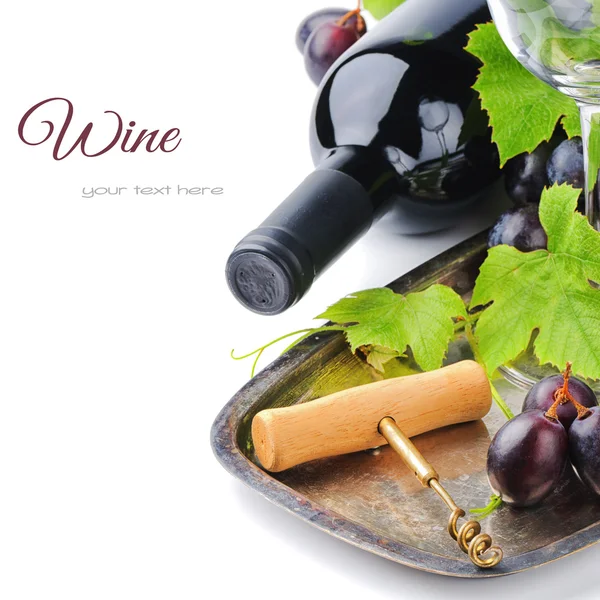 Bottle of red wine and and fresh grape — Stock Photo, Image