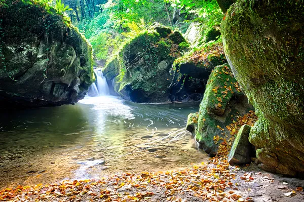 Bos stream op zonnige herfstdag — Stockfoto