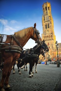 grote markt adlı atlı arabaları