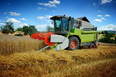 hasat ekili alanda çalışan birleştirme