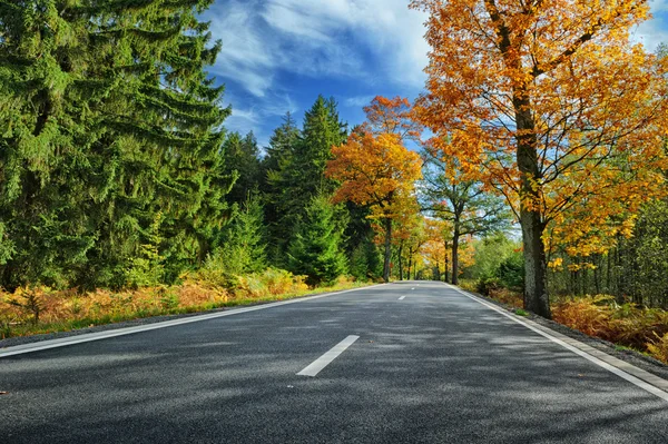 Paisagem de outono colorido com estrada — Fotografia de Stock