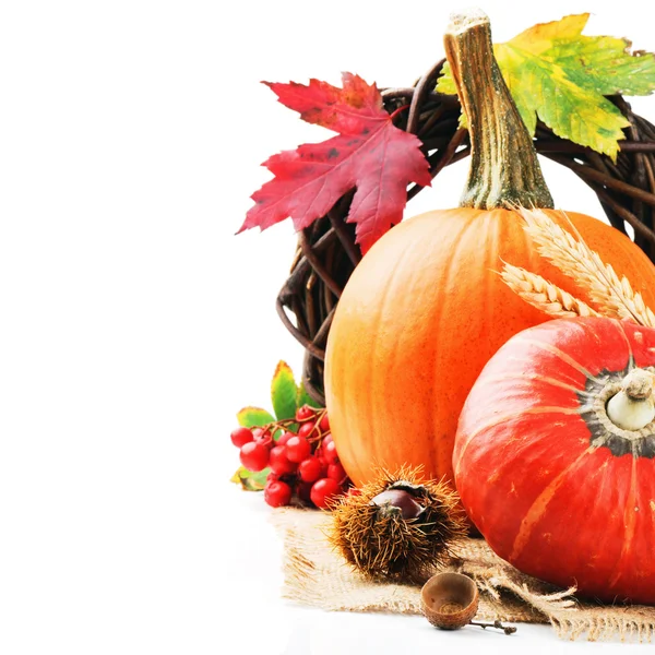 Autumn still-life with pumpkins — Stock Photo, Image