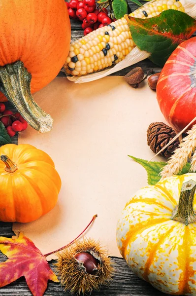 Cornice autunnale con zucche, mais e foglie — Foto Stock