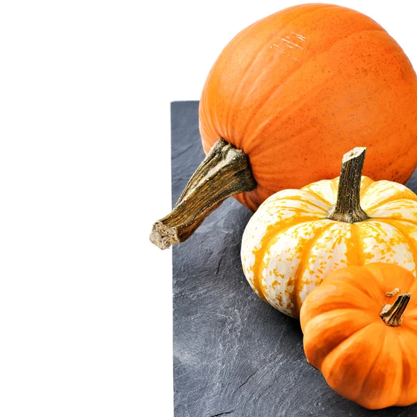 Bodegón de otoño con calabazas — Foto de Stock