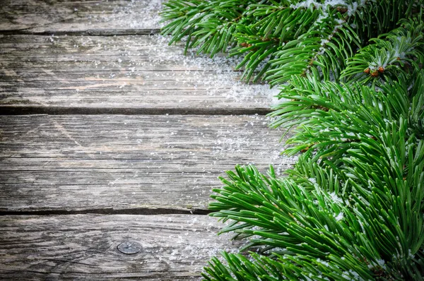 Moldura de inverno com galhos de árvore de Natal — Fotografia de Stock