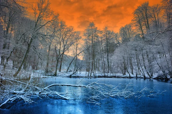 Spektakulära orange solnedgång över vintern skog — Stockfoto