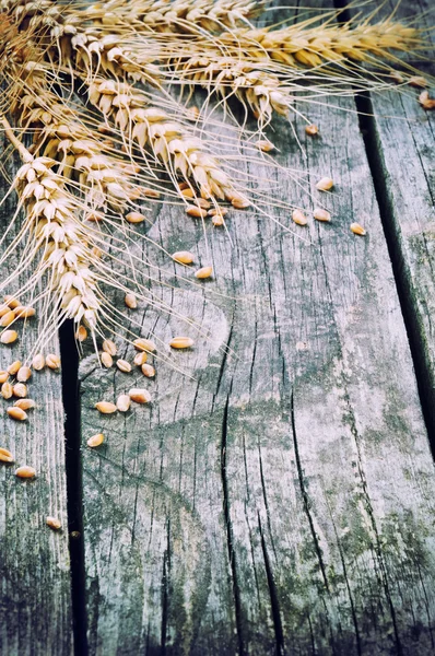 Landwirtschaftsrahmen mit Weizen — Stockfoto