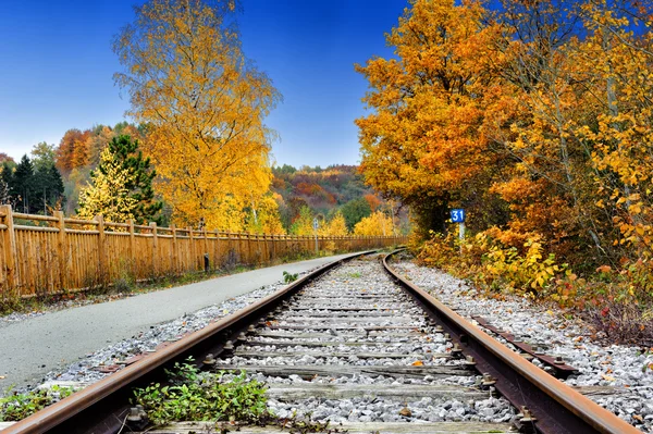 Осінній пейзаж з залізничною колією — стокове фото