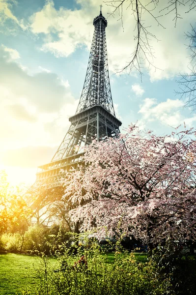 Primavera em Paris. Torre Eiffel — Fotografia de Stock