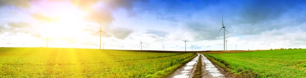 Paisagem panorâmica com estrada rural — Fotografia de Stock