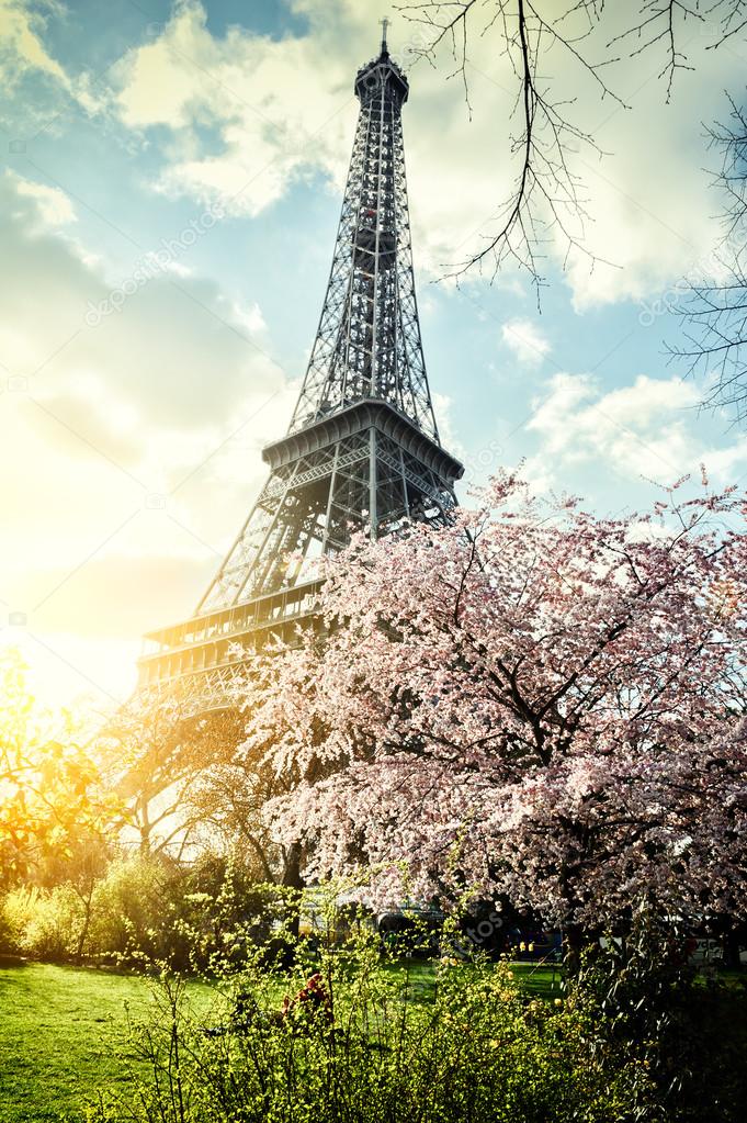 Springtime in Paris. Eiffel tower