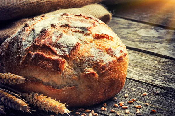 Frisch gebackenes traditionelles Brot — Stockfoto