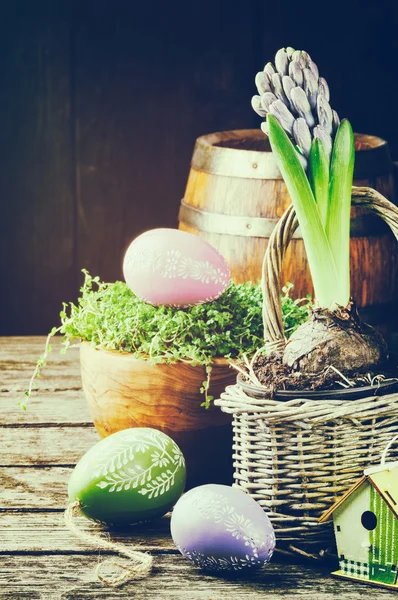 Пасхальная обстановка с гиацинтом и декоративными яйцами — стоковое фото