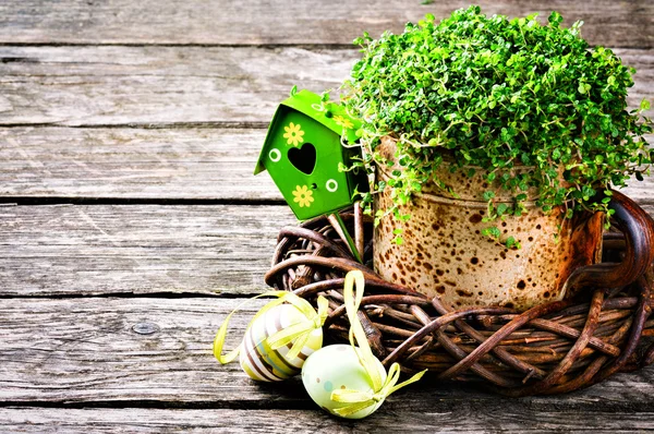 Easter setting with green plant and decorative eggs — Stock Photo, Image