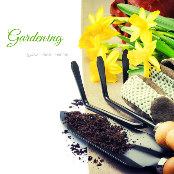 Ferramentas de jardim e narcisos de primavera — Fotografia de Stock