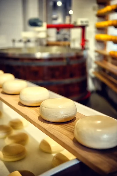 在阿姆斯特丹的奶酪店 — 图库照片