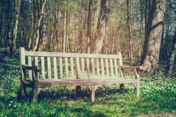 Wooden bench in spring park — Stock Photo, Image