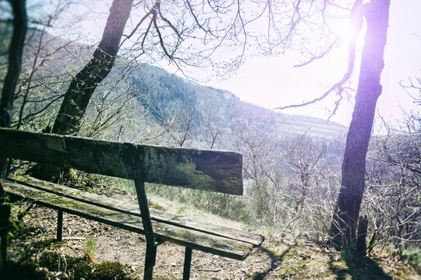 Lonely wooden bench — Stock Photo, Image