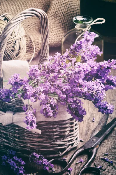 Bando de lavanda fresca na cesta — Fotografia de Stock