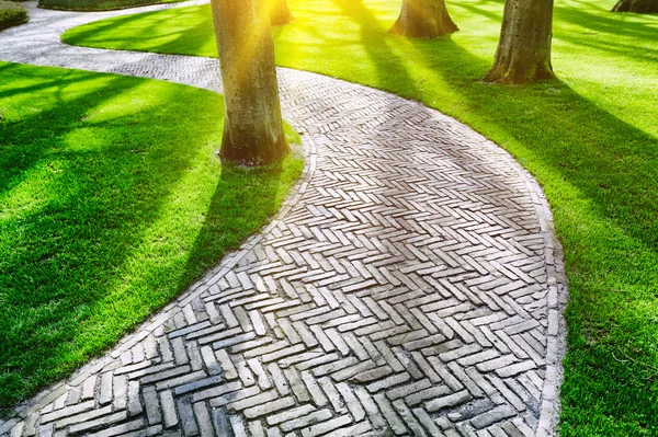 Sendero pavimentado en parque de primavera — Foto de Stock