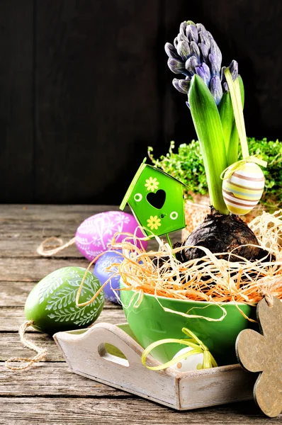 Ajuste de Pascua con jacinto —  Fotos de Stock