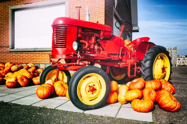 Tractor decorativo y calabazas frescas — Foto de Stock