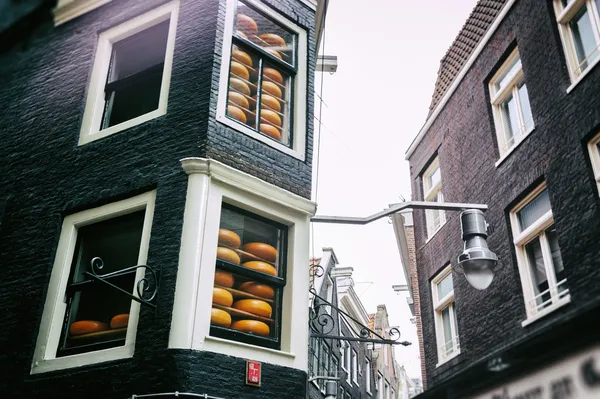 Loja de queijos em Amsterdam — Fotografia de Stock