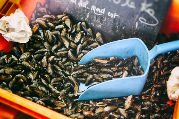 Frische Miesmuscheln auf dem Fischmarkt — Stockfoto