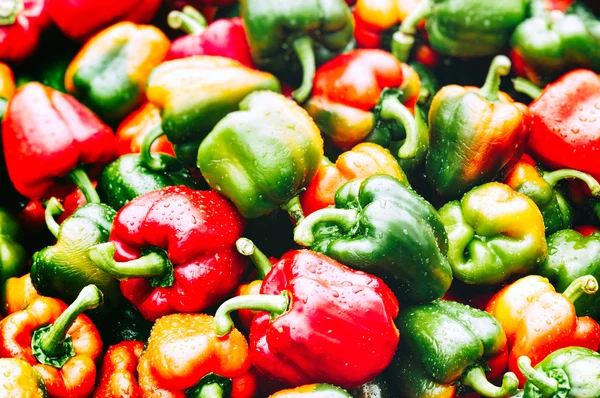 Pozadí červené a zelené papriky — Stock fotografie
