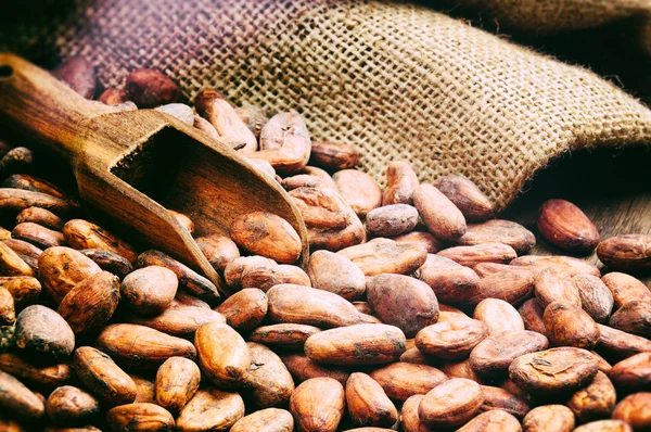 Cacaobonen — Stockfoto