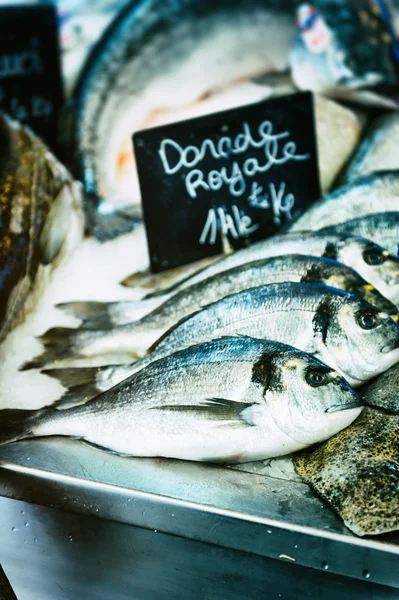 Sargo marinho fresco no mercado dos peixes — Fotografia de Stock