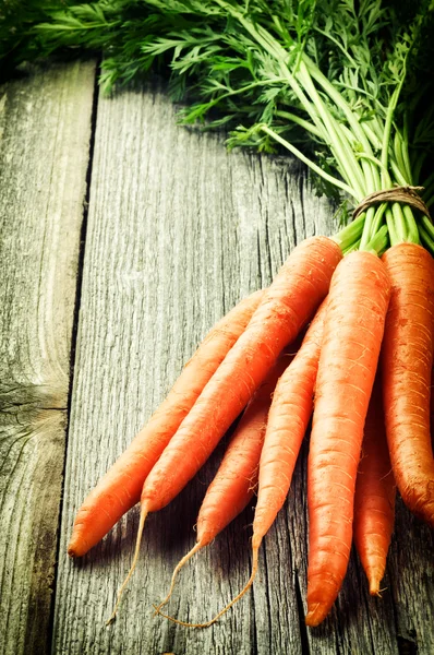 Fresh organic carrots — Stock Photo, Image