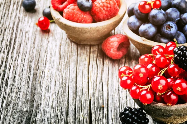 Berries — Stock Photo, Image