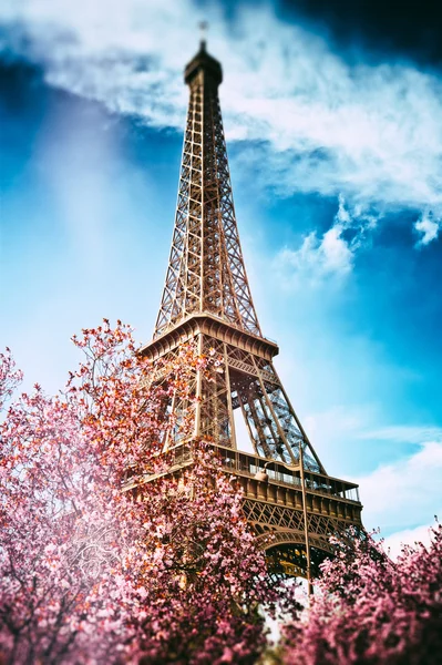 Springtime in Paris — Stock Photo, Image