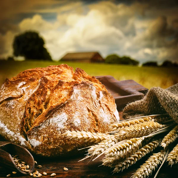 Freshly baked traditional bread — Stock Photo © paulgrecaud 17410671