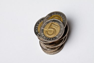 Lehçe sikkeler, para