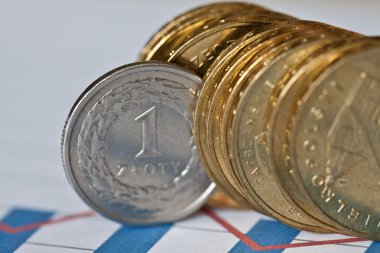 beyaz zemin üzerine altın sikke yığınları Polonya Zlotisi paraları