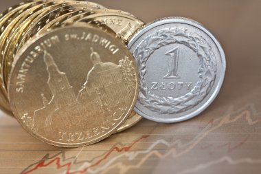 beyaz zemin üzerine altın sikke yığınları Polonya Zlotisi paraları