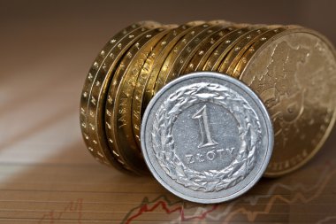 beyaz zemin üzerine altın sikke yığınları Polonya Zlotisi paraları