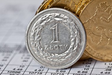 beyaz zemin üzerine altın sikke yığınları Polonya Zlotisi paraları