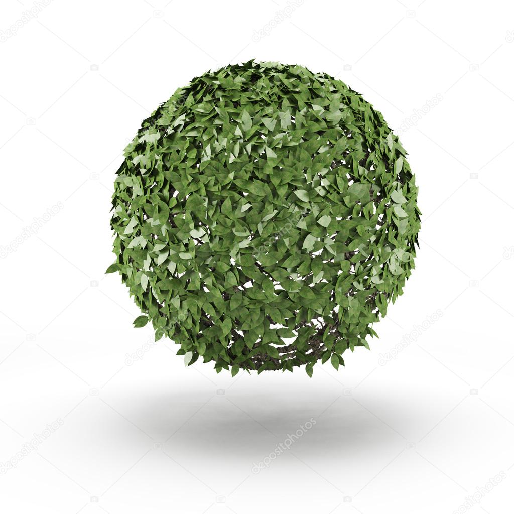 Sphere from green leaf