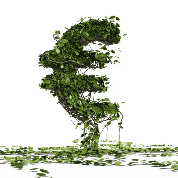 Euro currency symbol shaped plant — Stock Photo, Image