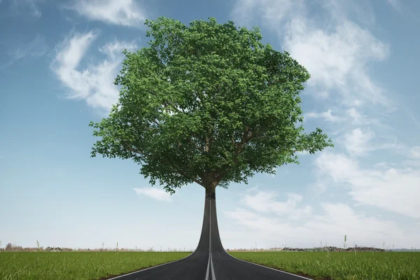 Die Straße verwandelt sich in einen Baum. ökologisches Konzept — Stockfoto