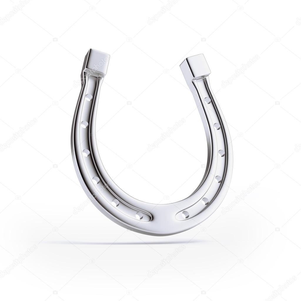Silver horseshoe