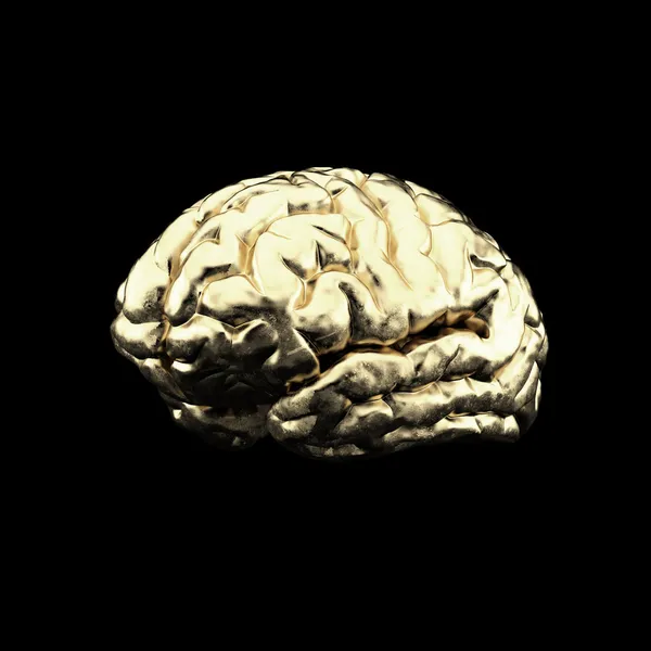 Goldenes Gehirn — Stockfoto