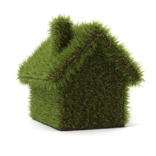 Zelený hrass dům — Stock fotografie